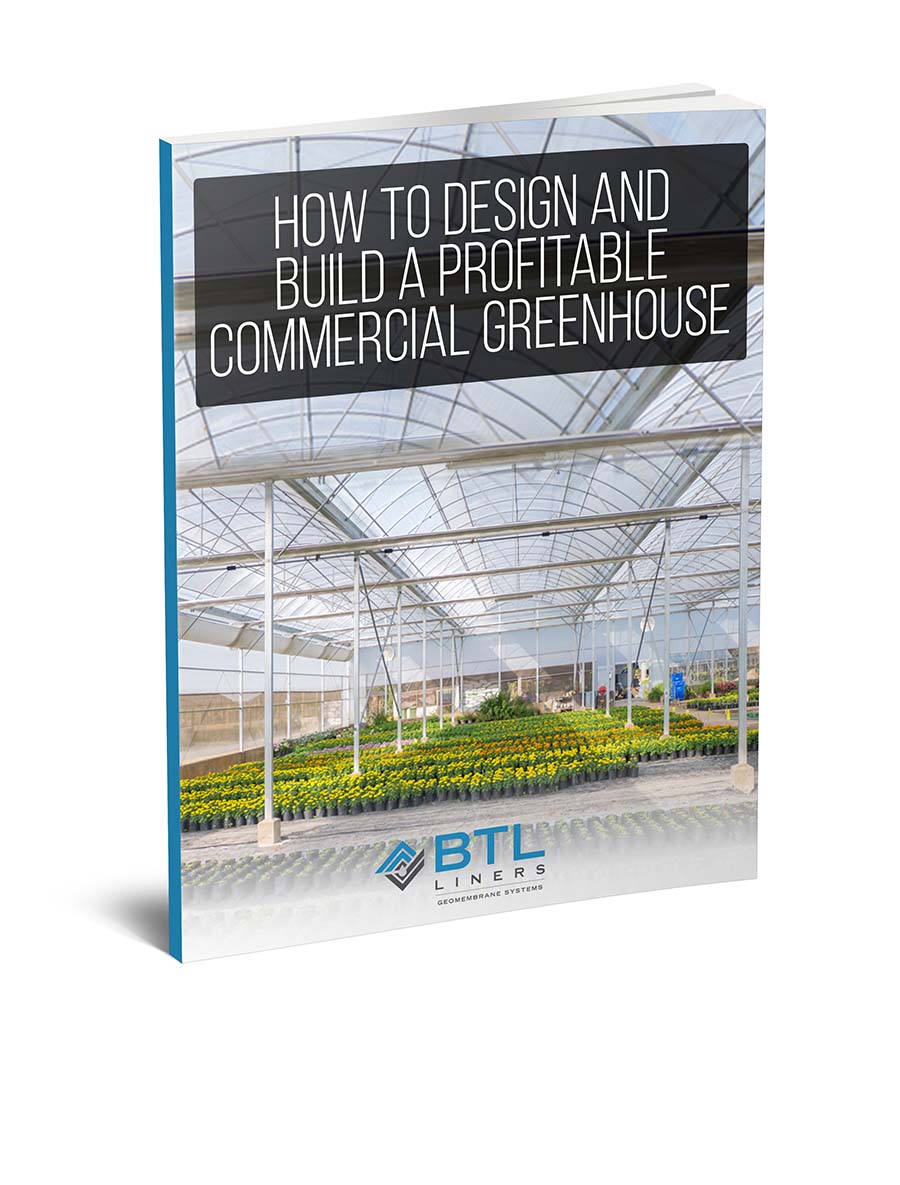 How to Design and Build a Profitable Commercial Greenhouse